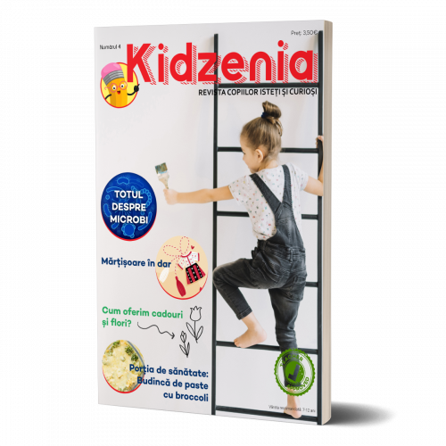 Kidzenia-4-3dcover